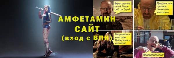 трава Гусиноозёрск