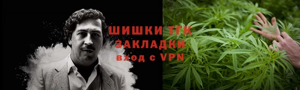 трава Гусиноозёрск