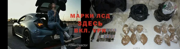 трава Гусиноозёрск