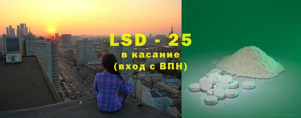 трава Гусиноозёрск