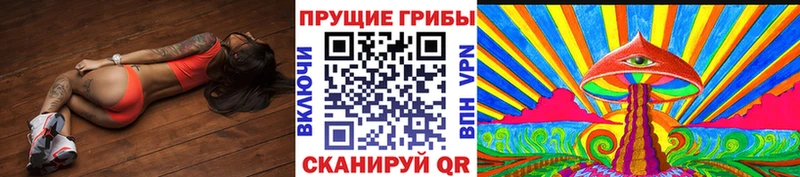 Галлюциногенные грибы Psilocybine cubensis  дарнет шоп  Нижний Новгород 