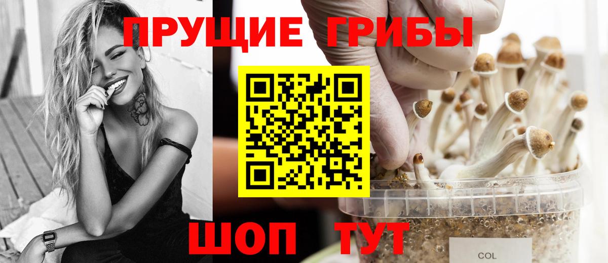 Псилоцибиновые грибы ЛСД Нижний Новгород