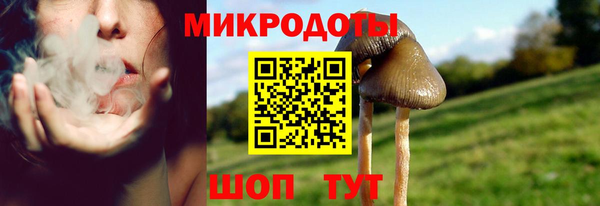 Нижний Новгород  Псилоцибиновые грибы Psilocybine cubensis  Вход с VPN 