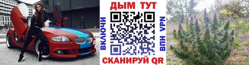 наркошоп Нижний Новгород Конопля гибрид